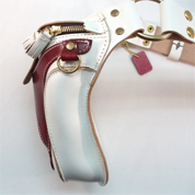 �q�b�v�o�b�O�i�k���v�E�R���r�j